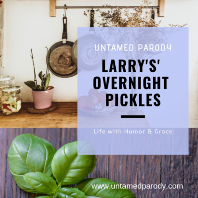 Larry’s Overnight Pickles