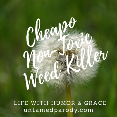 Cheapo Non-Toxic Weed Killer