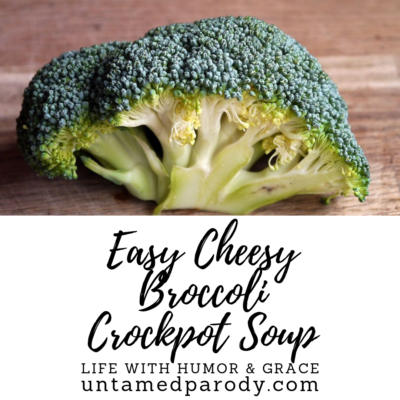 Easy Cheesy Broccoli Crockpot Soup