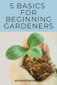 beginning gardening