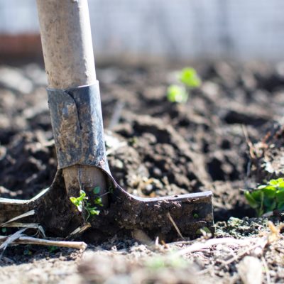 10 Tools for Every Gardener