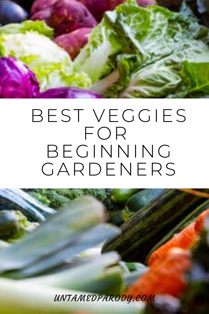 Best Vegetables For Beginning Gardeners ~ Home In Heels