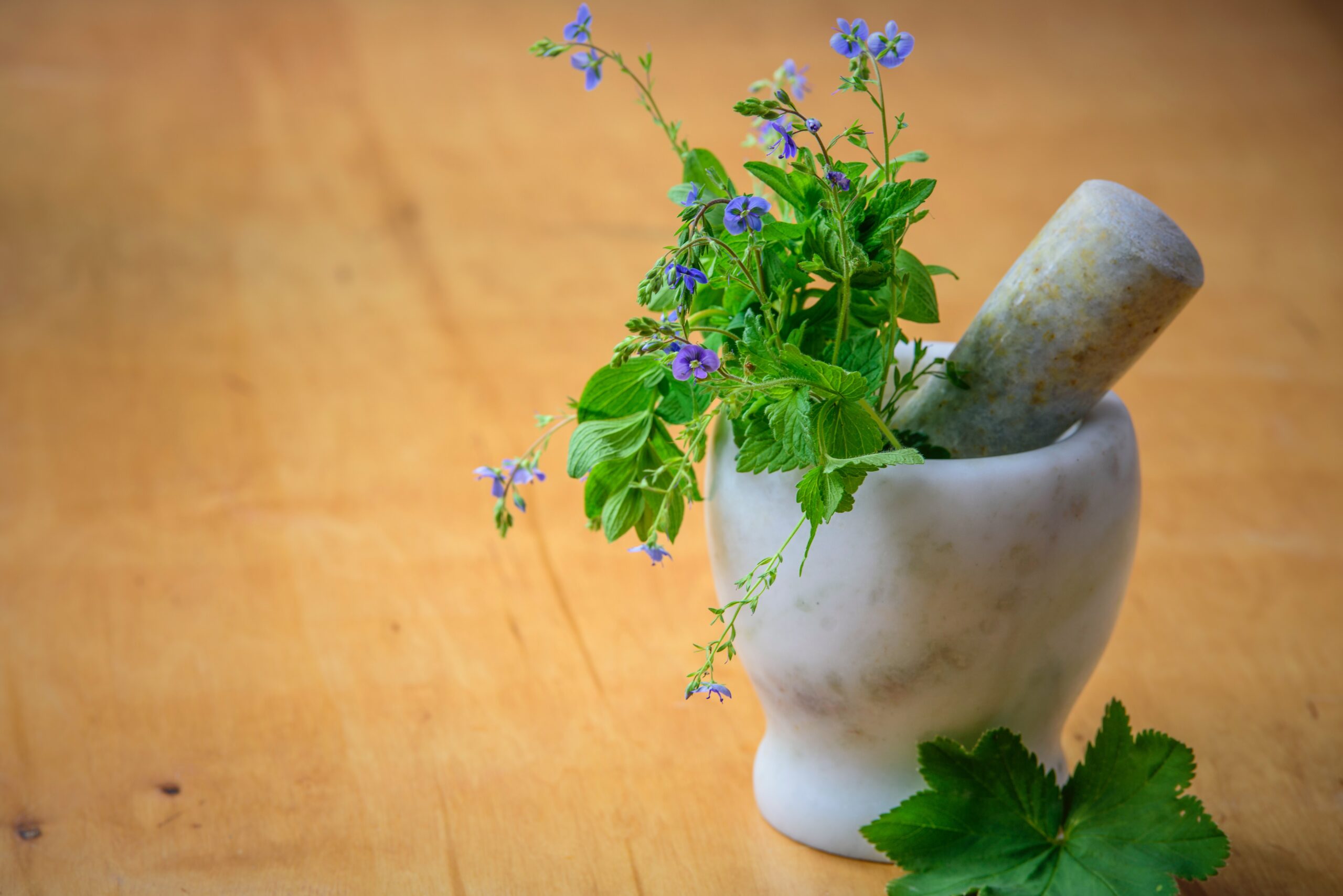 Getting Started with Herb Gardening
